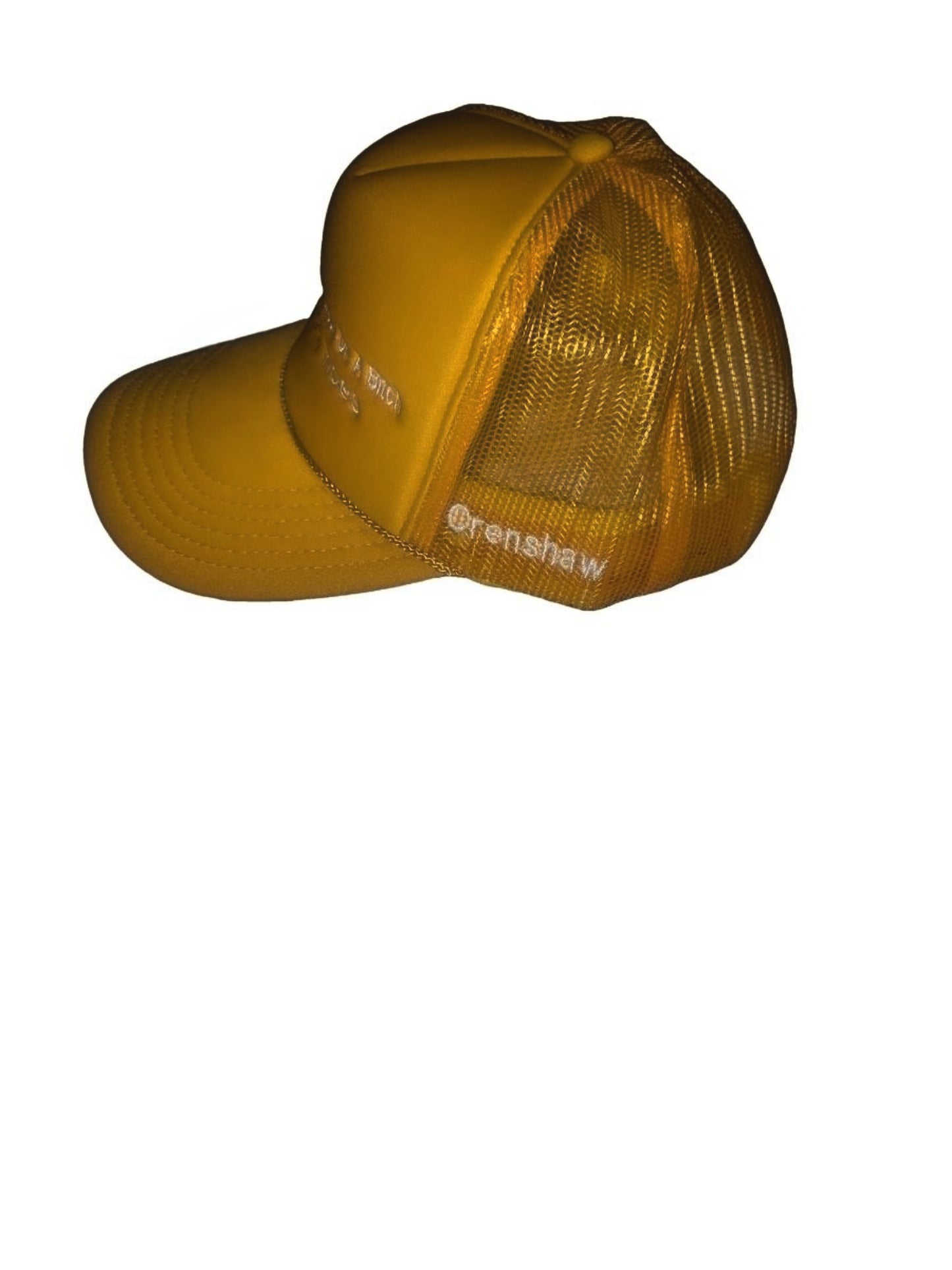 TV off Kendrick Lamar Trucker hat